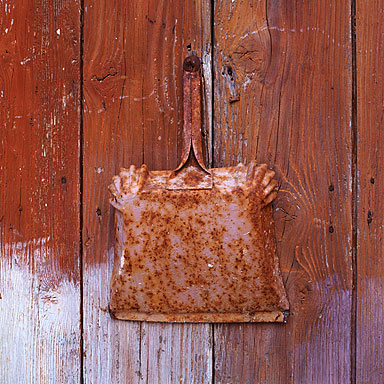Chameleon Dustpan, Symi