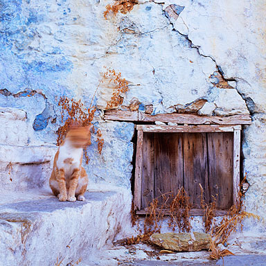 Not THAT Birdie, Symi