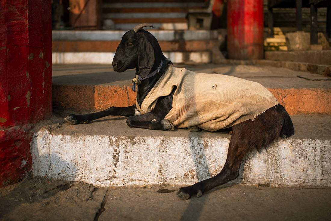 Varanasi, India.