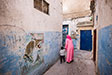 Essaouira - Life in the Medina. Beware the Cat.