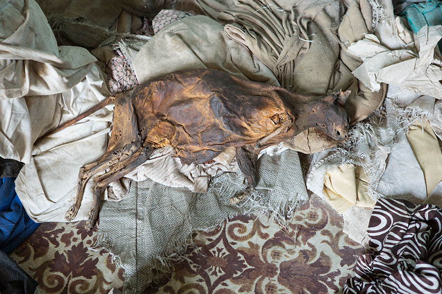 Kardamili, Chios, Greece