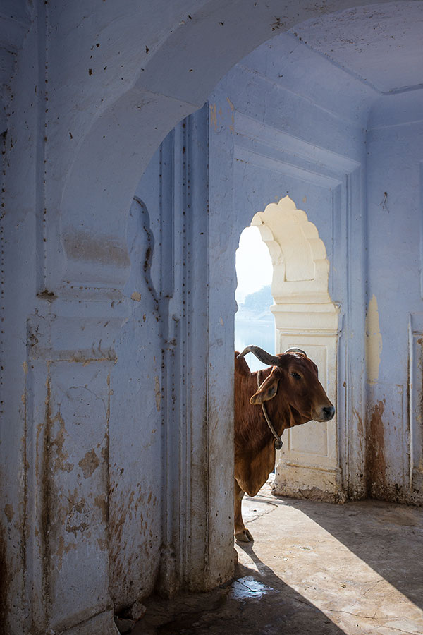 Pushkar, Rajasthan, India.