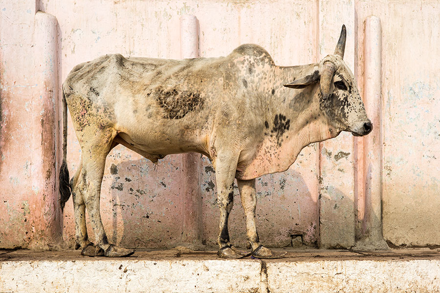 Varanasi, India.