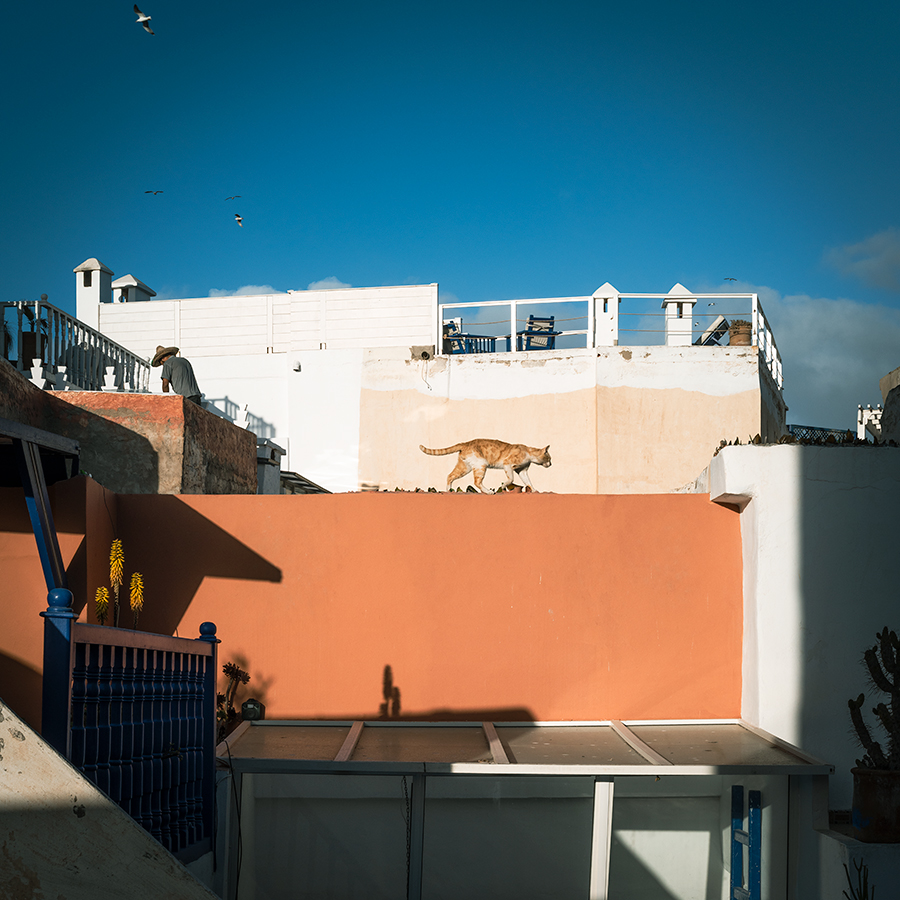 Morocco4