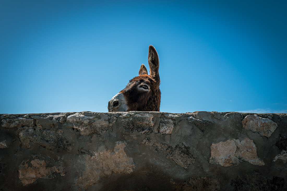 Essaouira, Morocco