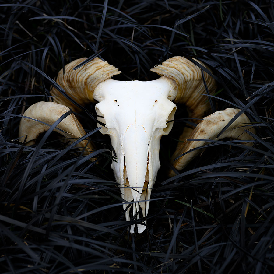 Dark Times. Black Magic.