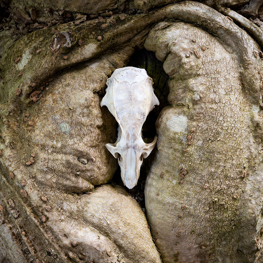 Dark Times. The Birth.