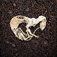Dark Times 2. The Eternal Sleep.