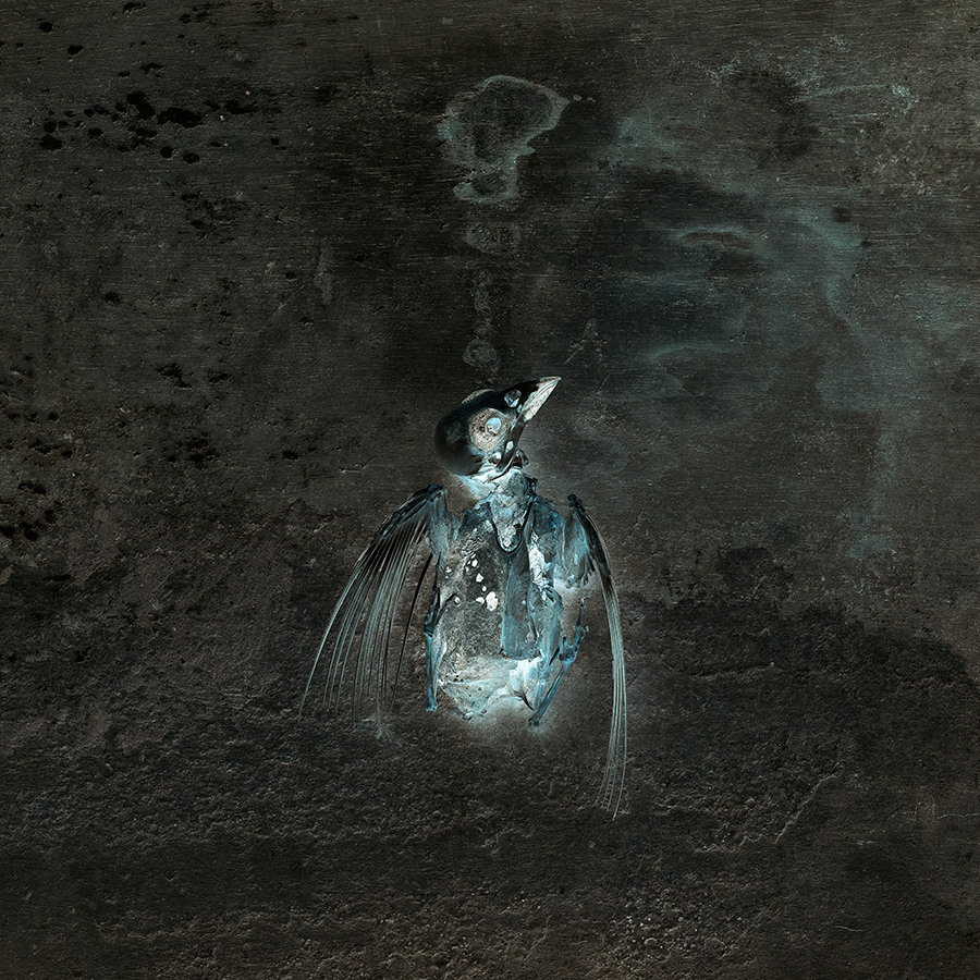 Dark Times, Ascension.