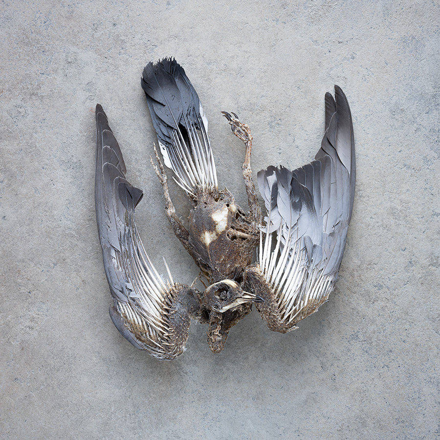 Dark Times 3. Descent.