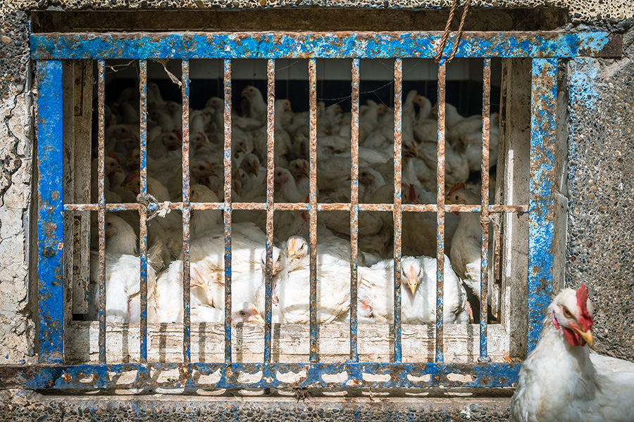 Morocco 3